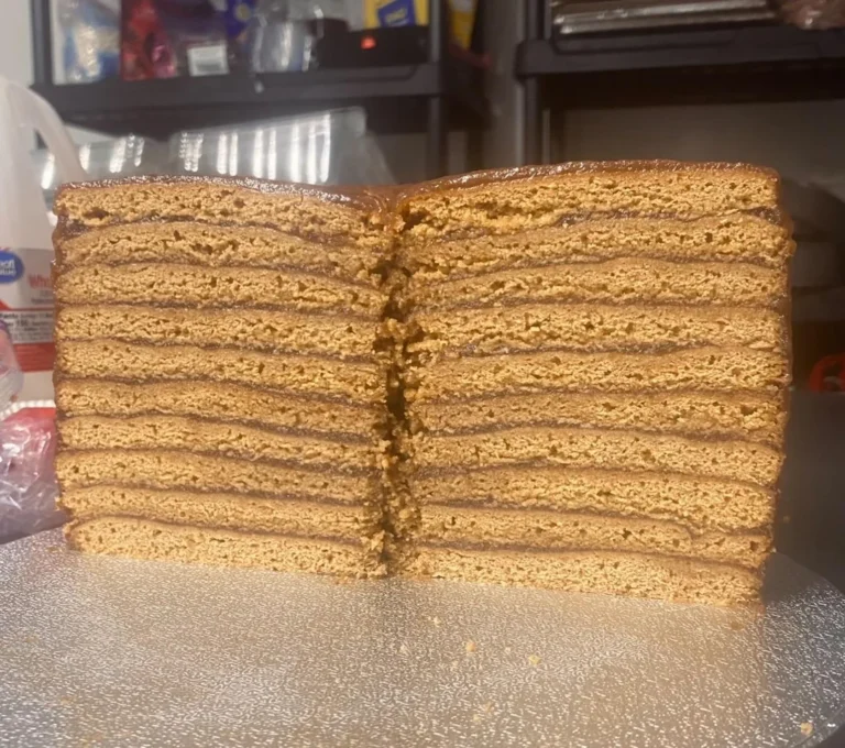 A beautiful cross-section of a 10-layer Appalachian Apple Stack Cake, featuring thin, soft gingerbread-like cake layers alternating with rich, dark spiced apple filling.